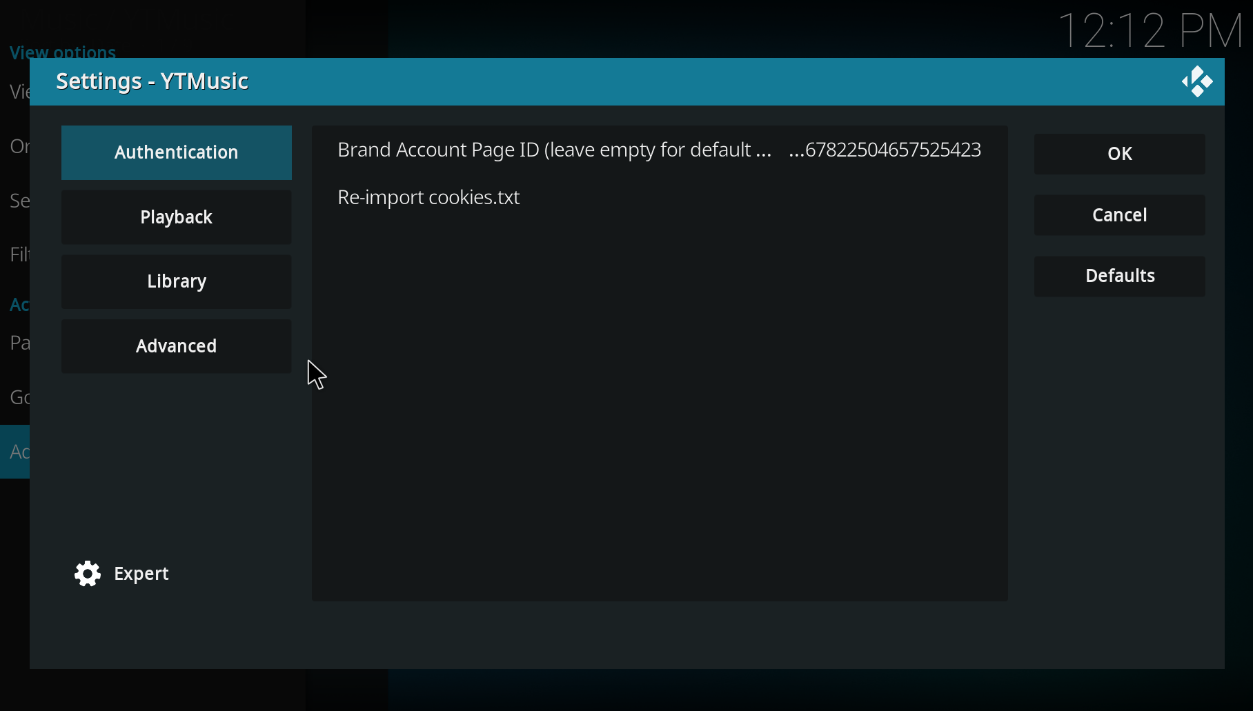 YouTube Music for Kodi settings and authentication